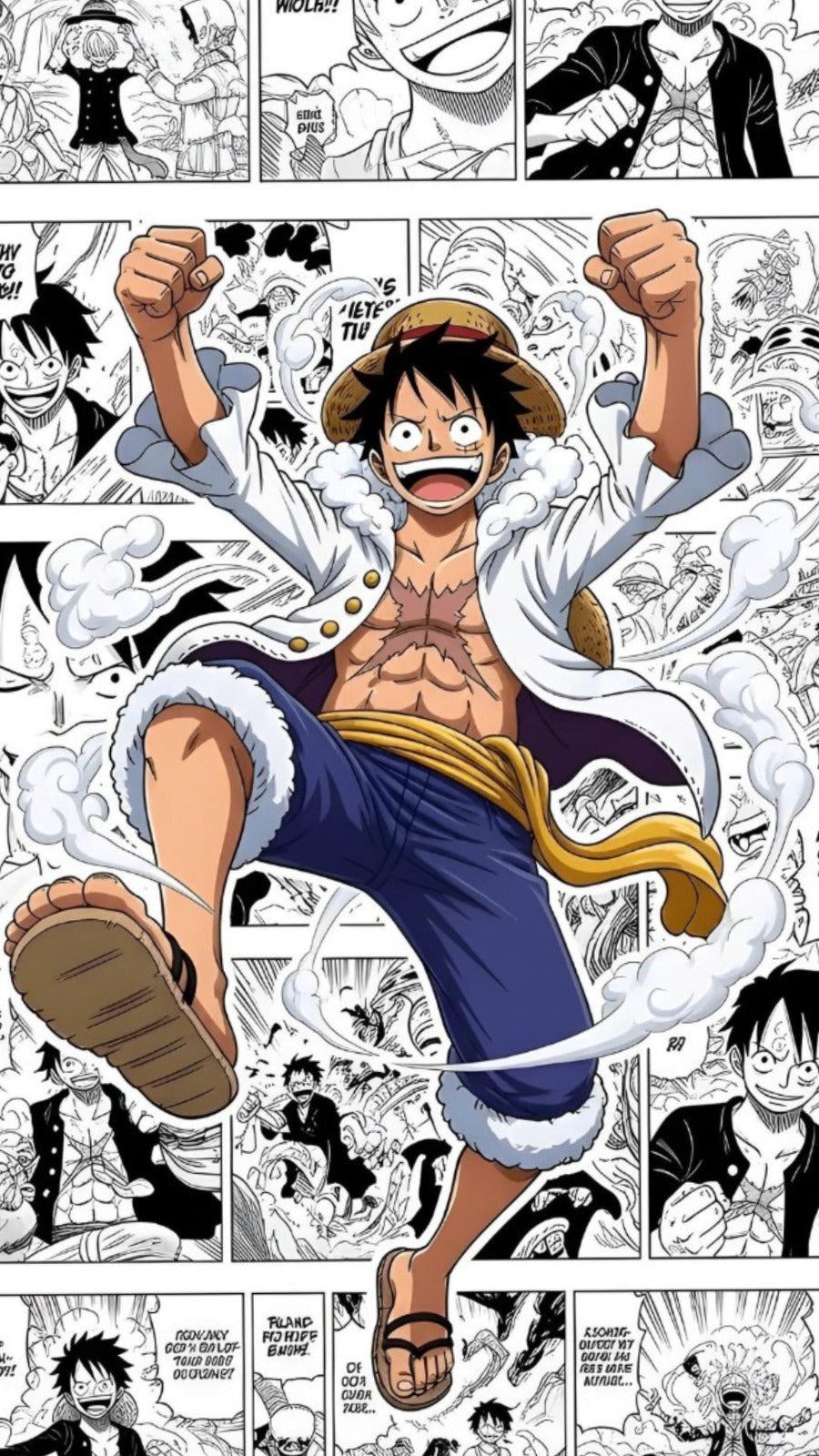 Case One Piece Sombrero de Paja