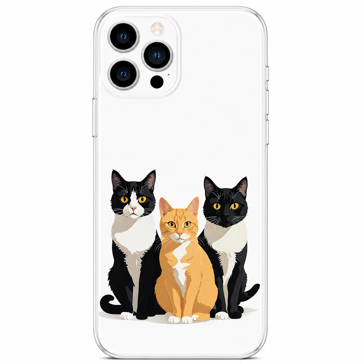 Case Trio de Michis