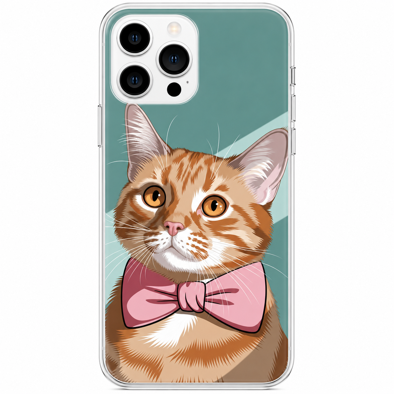 Case Michi