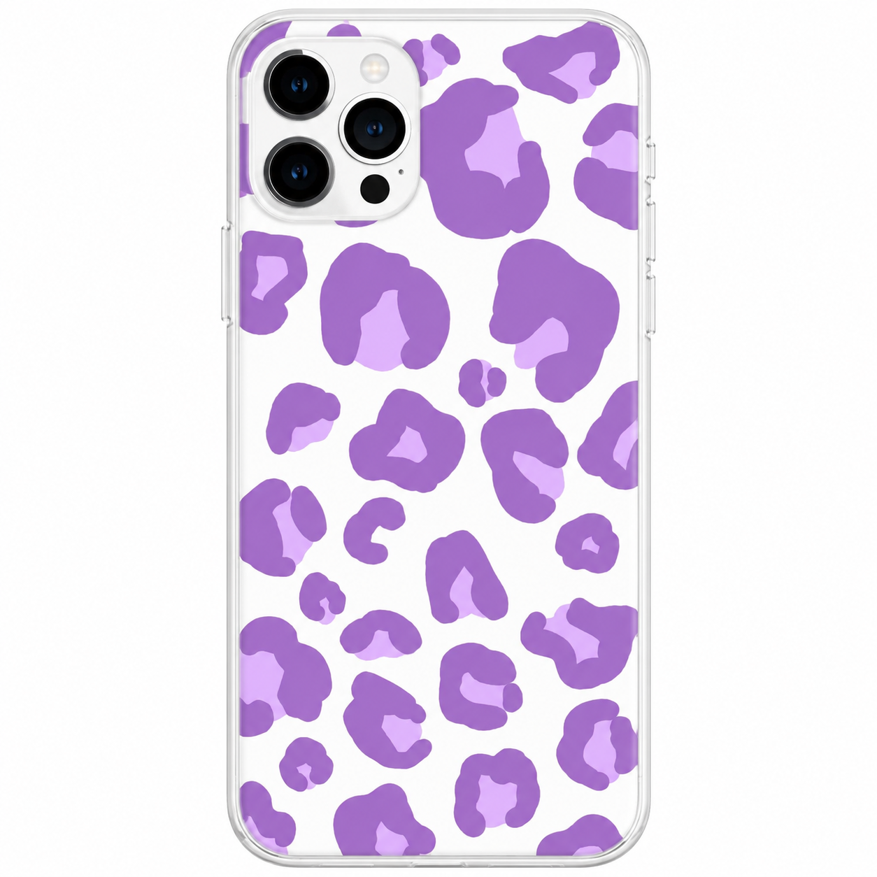 Case Amatista