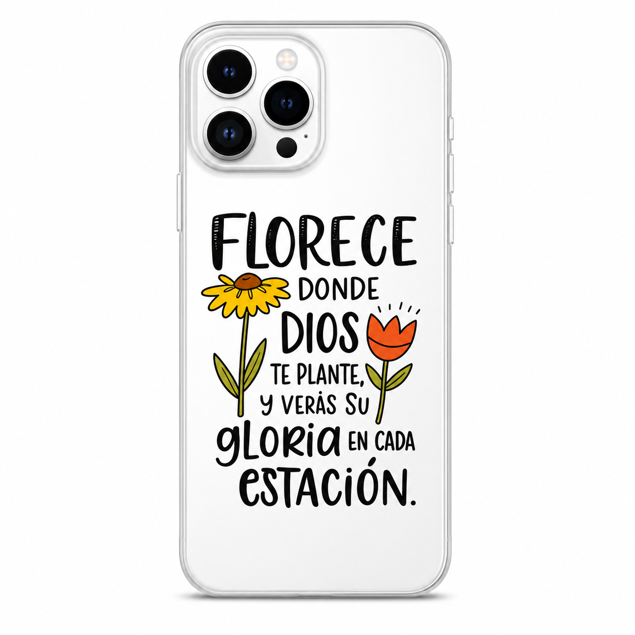 Case Florece