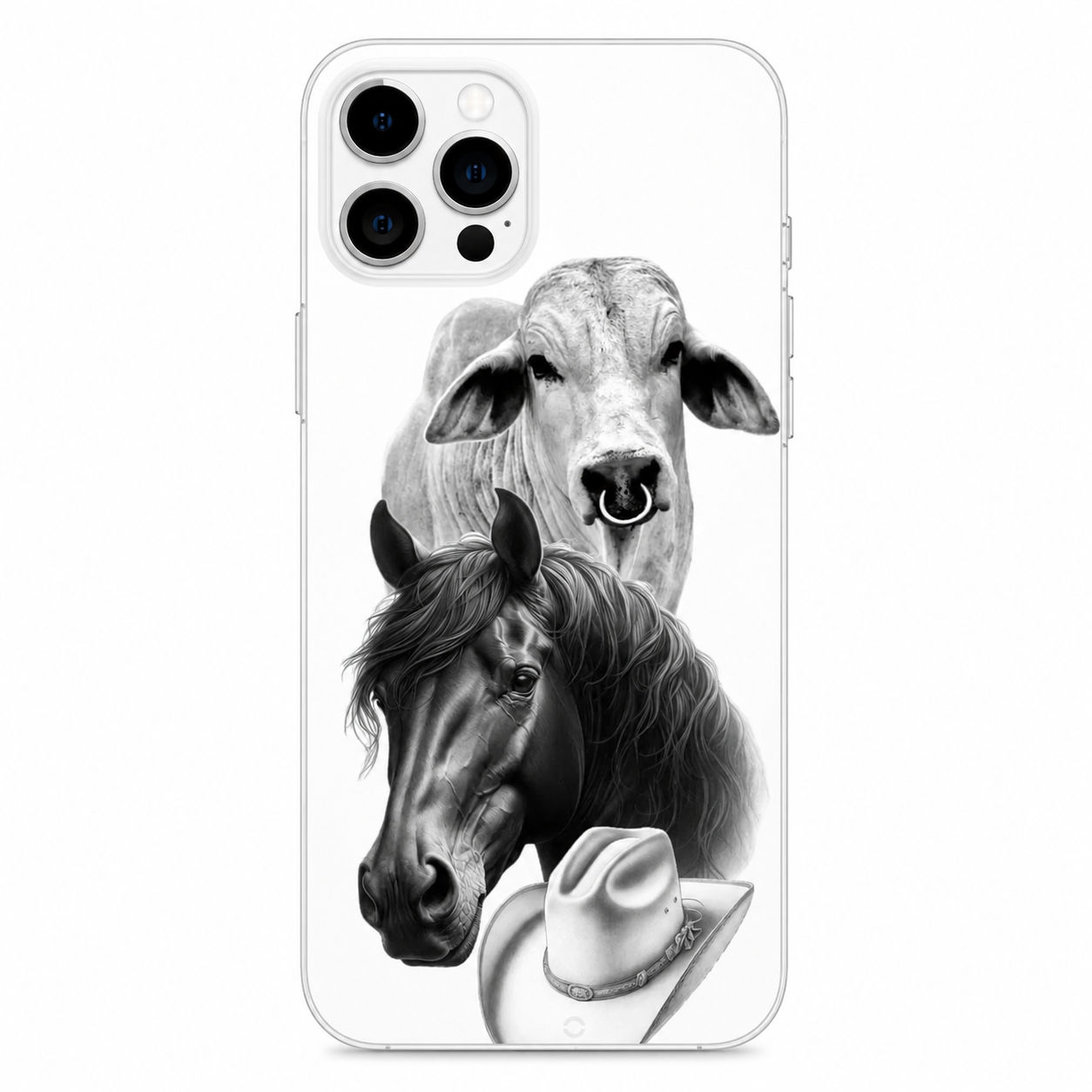 Alma de Campo case