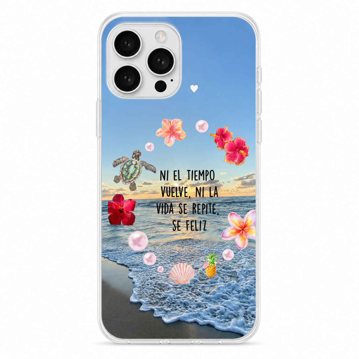 Case Brisa Tropical