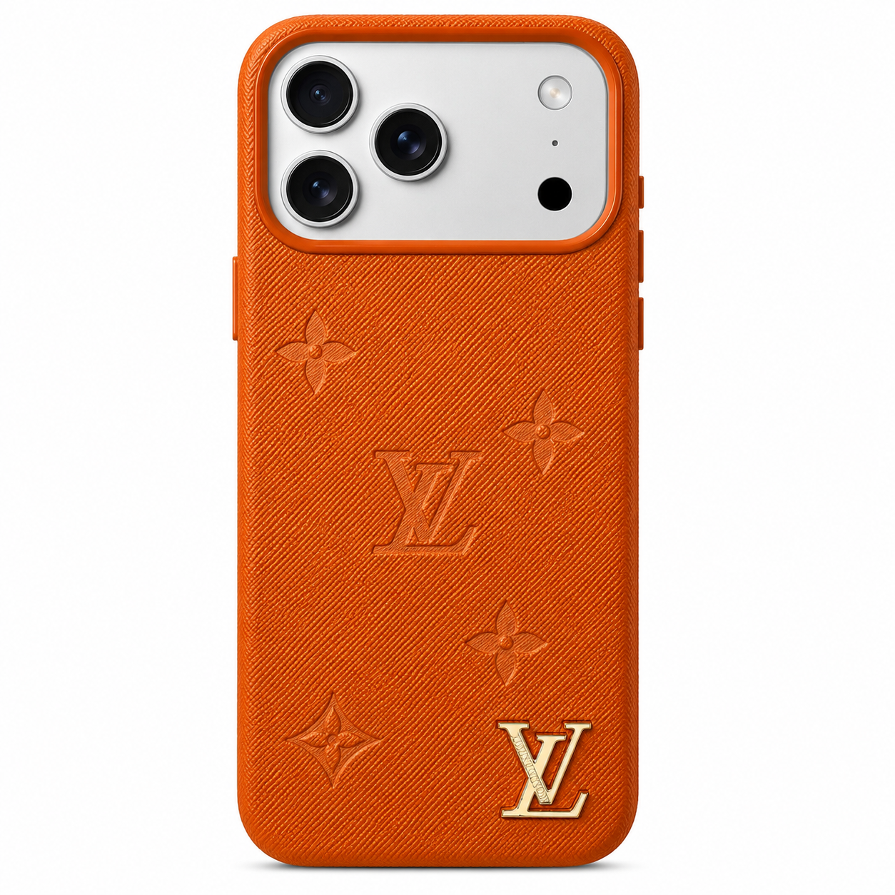 Louis Vuitton Case