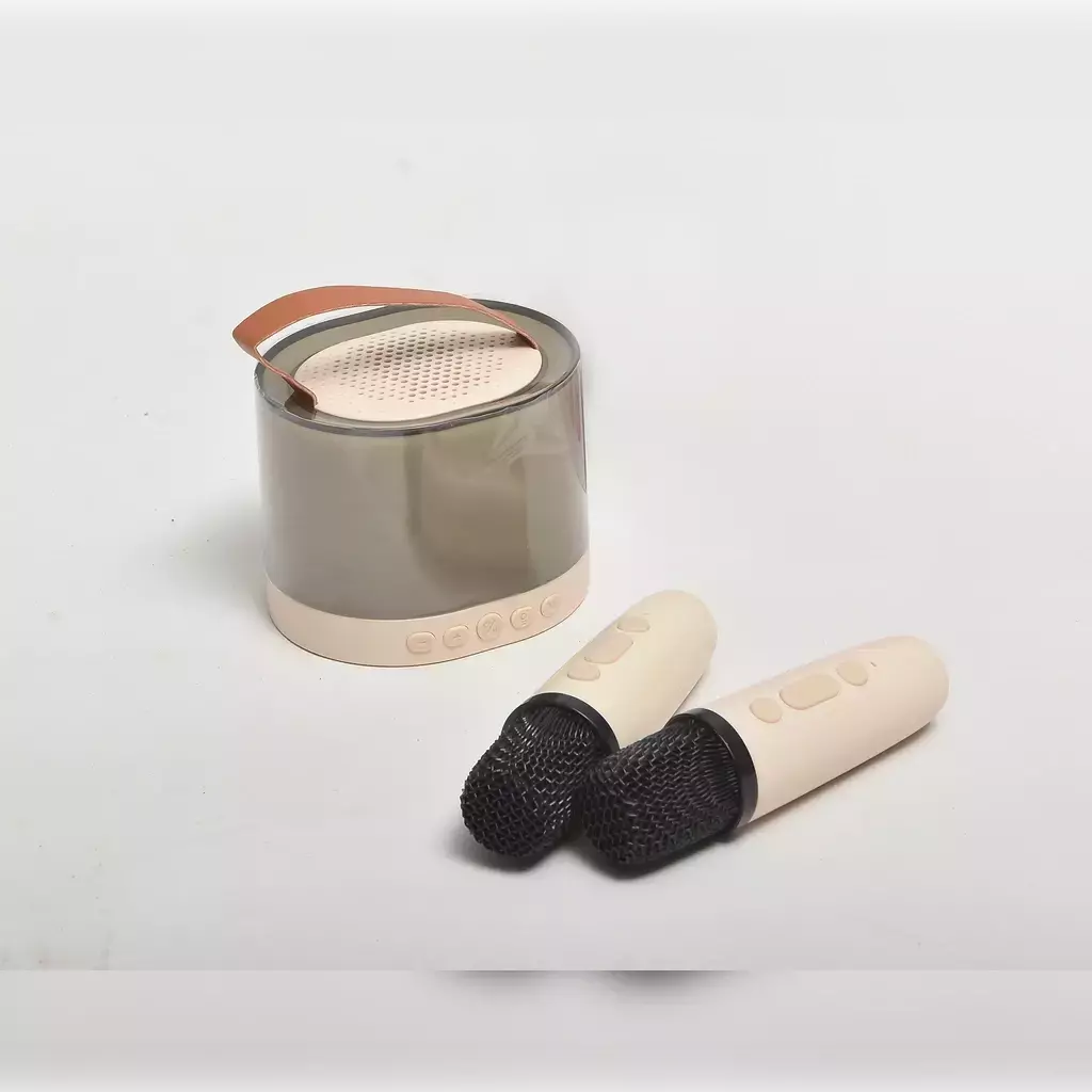 Micrófono karaoke doble